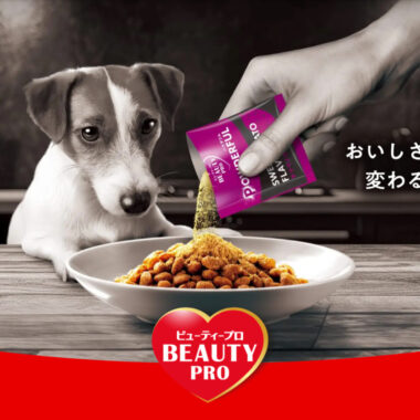 BEAUTY pro POWDERFUL/ブランドサイト