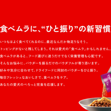 BEAUTY pro POWDERFUL／ブランドサイト