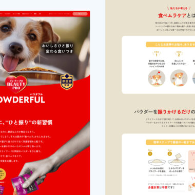 BEAUTY pro POWDERFUL／ブランドサイト